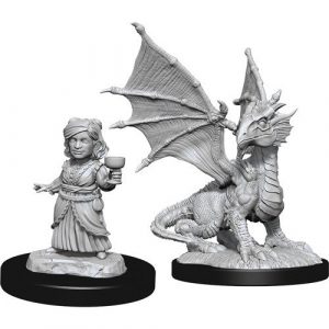Nolzur’s Marvelous Miniatures – W13 Silver Dragon Wyrmling & Dragon Friend