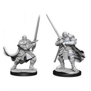 Nolzur’s Marvelous Miniatures – W15 Male Half-Orc Paladin